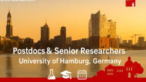 SICSS University of Hamburg guide for postdocs and senior researchers, mentoring, funding, training