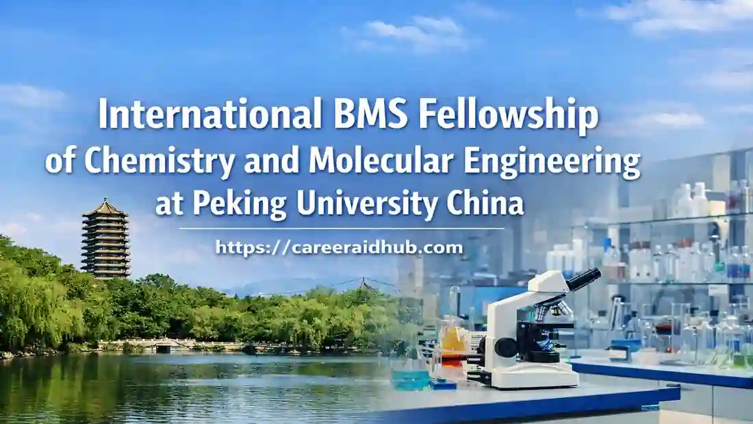 International BMS Fellowship (IBMSF) at Peking University | Career ...